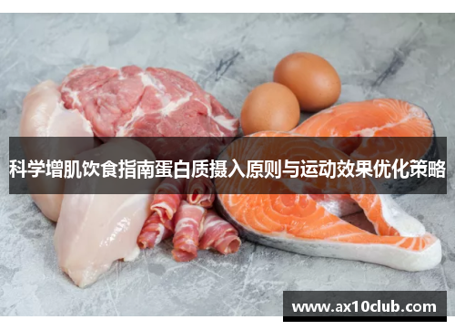 科学增肌饮食指南蛋白质摄入原则与运动效果优化策略